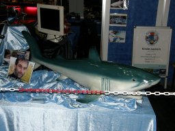 Messe Wien 2011