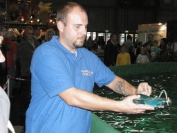 Messe Wien 2011