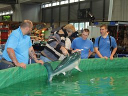 Messe Wien 2011