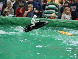 Messe Wien 2011