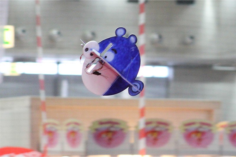 Messe Wien 2012