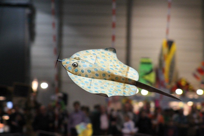 Messe Wien 2013