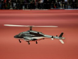 Messe Wien 2014