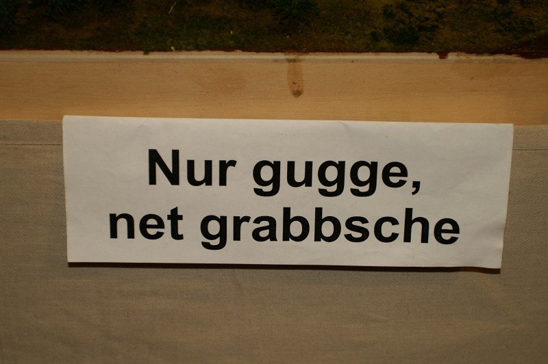 WWMB 2006