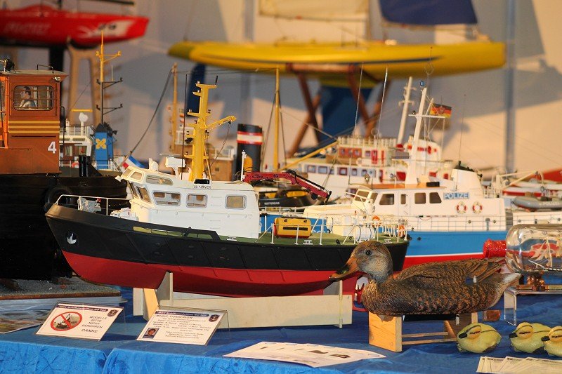 WWMB 2014