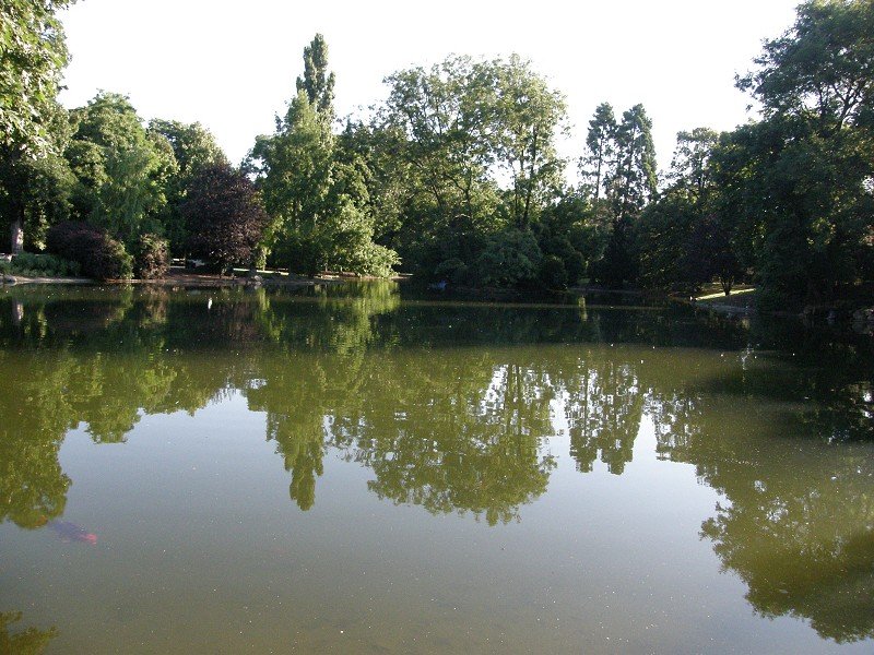 Alles_Wasser_Fest_2010_115