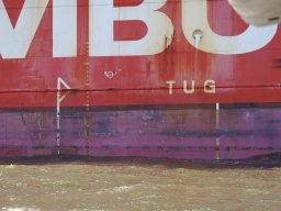 Hafen Hamburg 2008