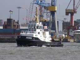 Hafen Hamburg 2008