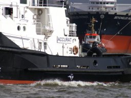Hafen Hamburg 2008