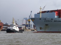 Hafen Hamburg 2008